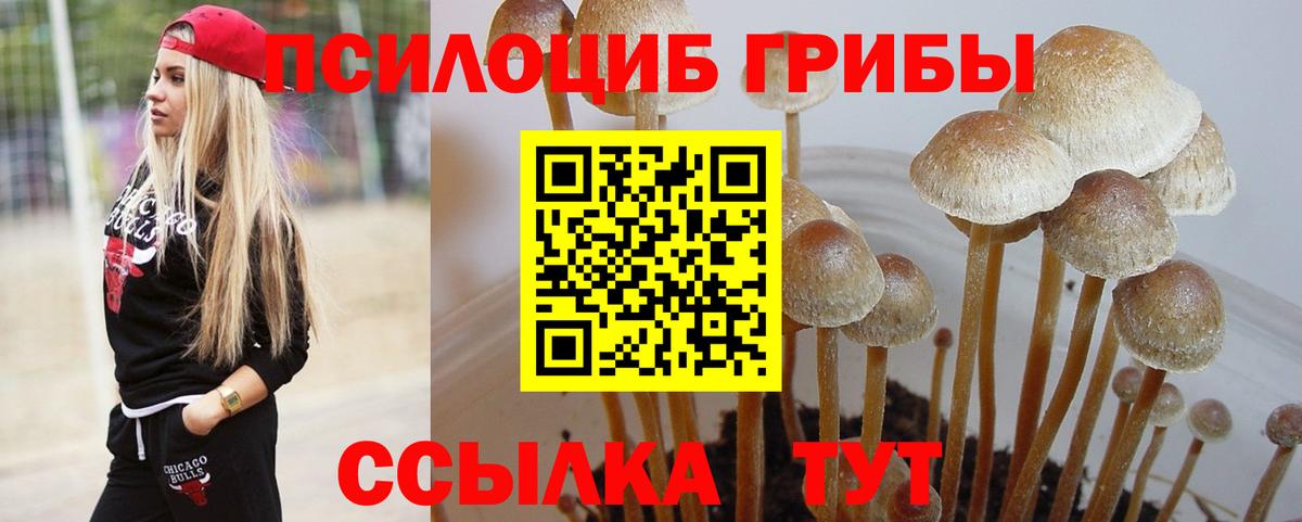 Псилоцибиновые грибы прущие грибы  Вход с VPN  Лабытнанги 